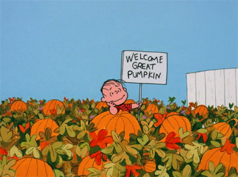 best pumpkin picking nothern nj