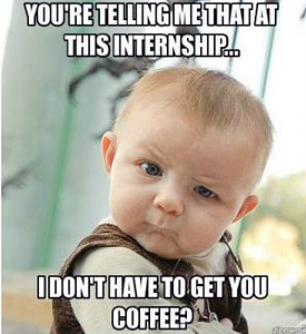 The DSM Group Internship